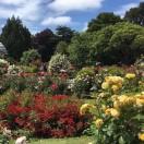 手机用户7676_amnt