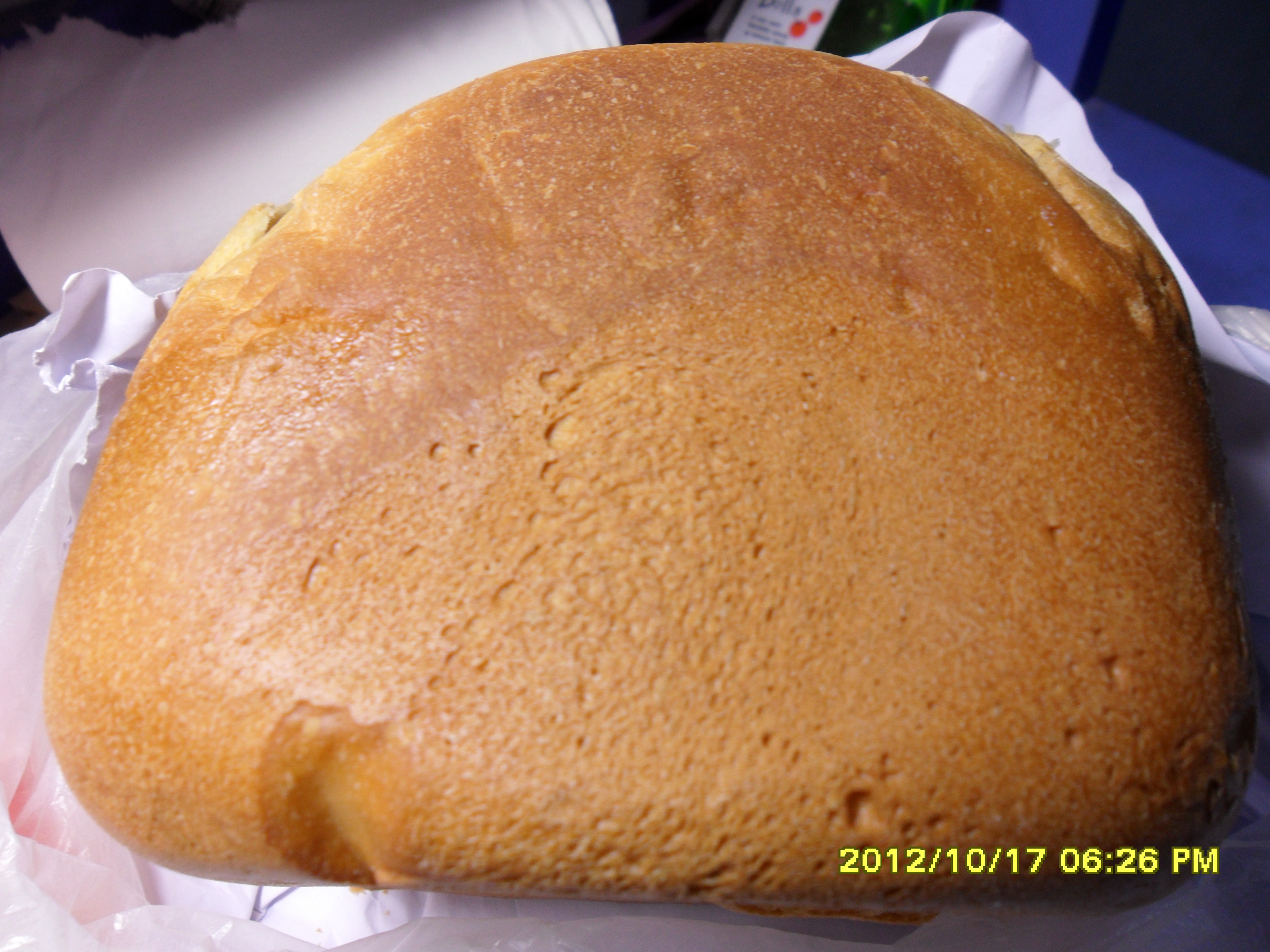 全麦主食面包