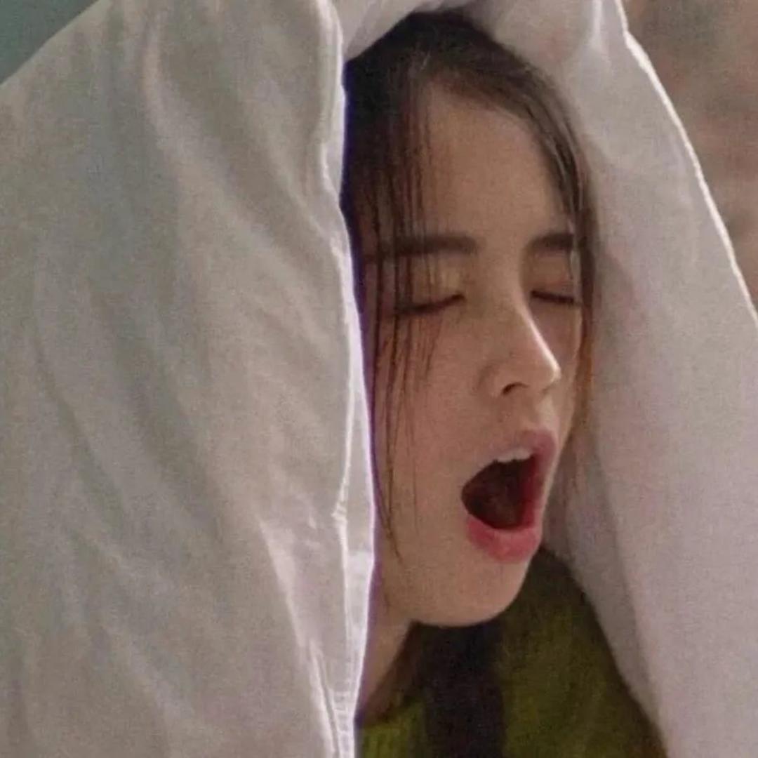 不负人间風月