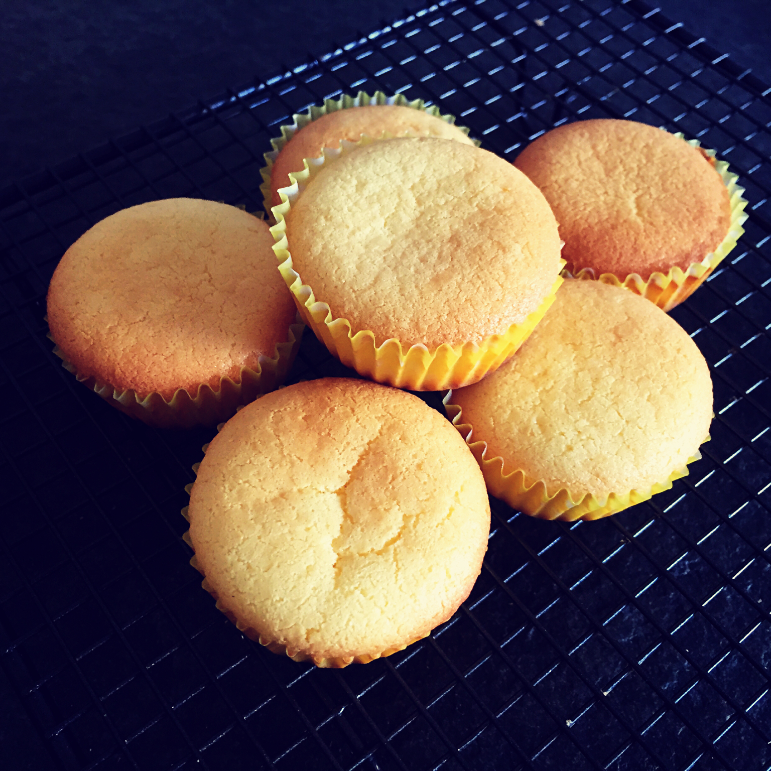 猫猫学语做的奶香迷你蛋糕仔