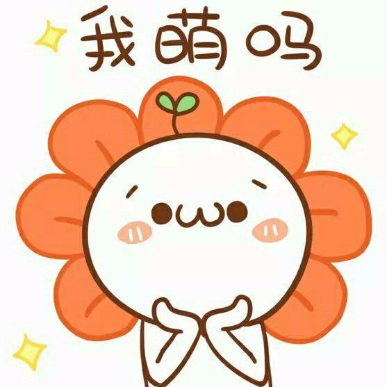 饭团团小姐姐