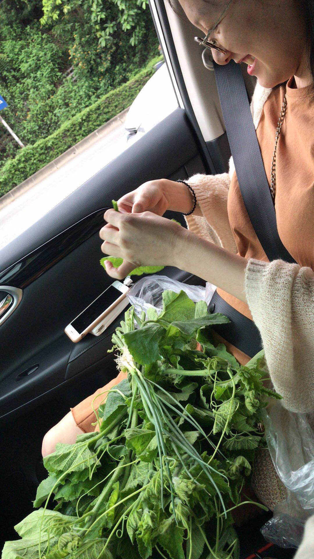 蒜泥南瓜苗