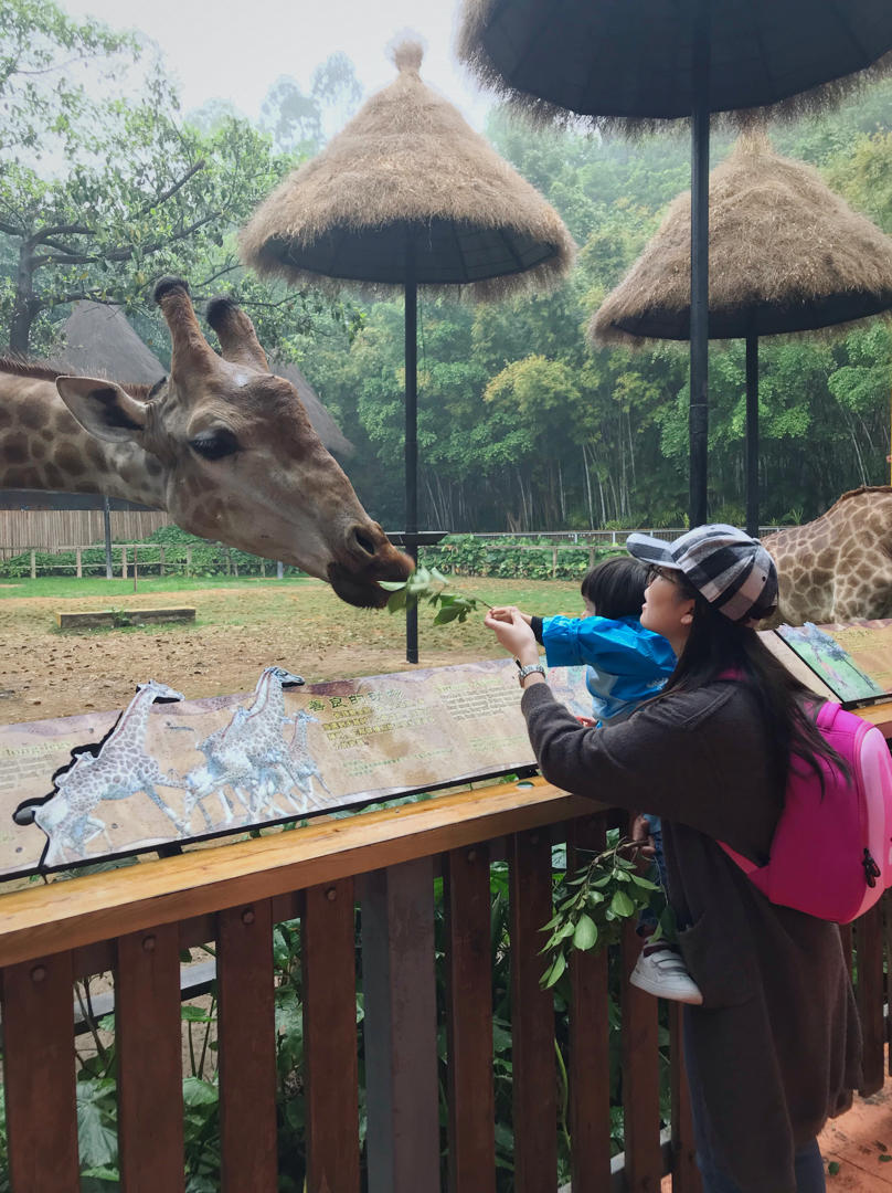 爱撸面包的小公煮