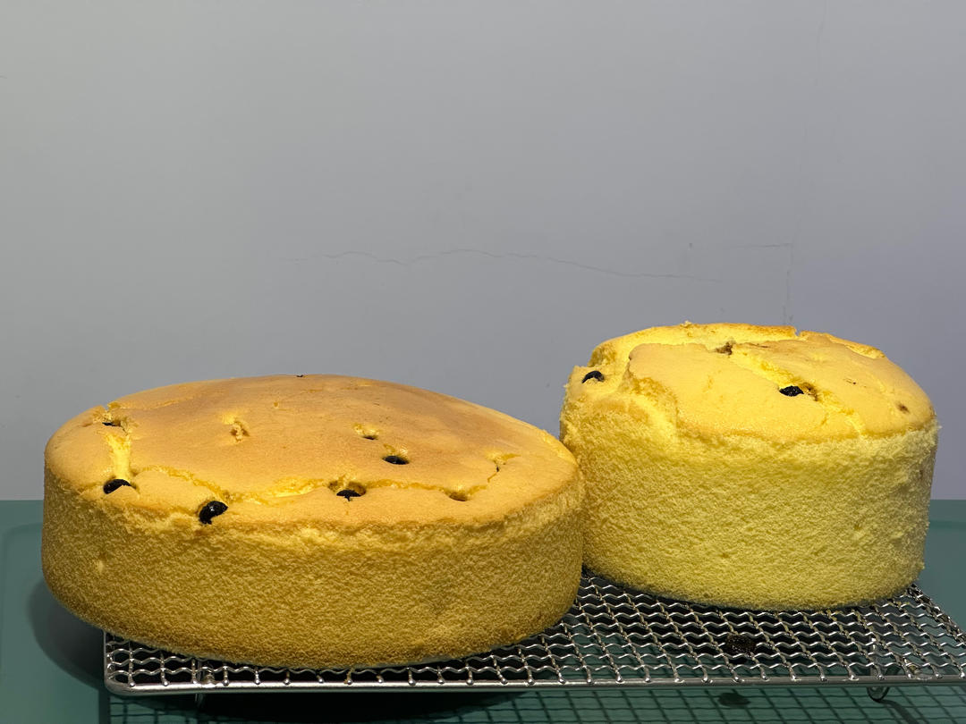 新手不容错过的古早蛋糕（8寸）