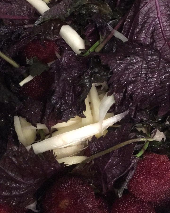 紫苏杨梅姜的最正宗做法/湖南做法