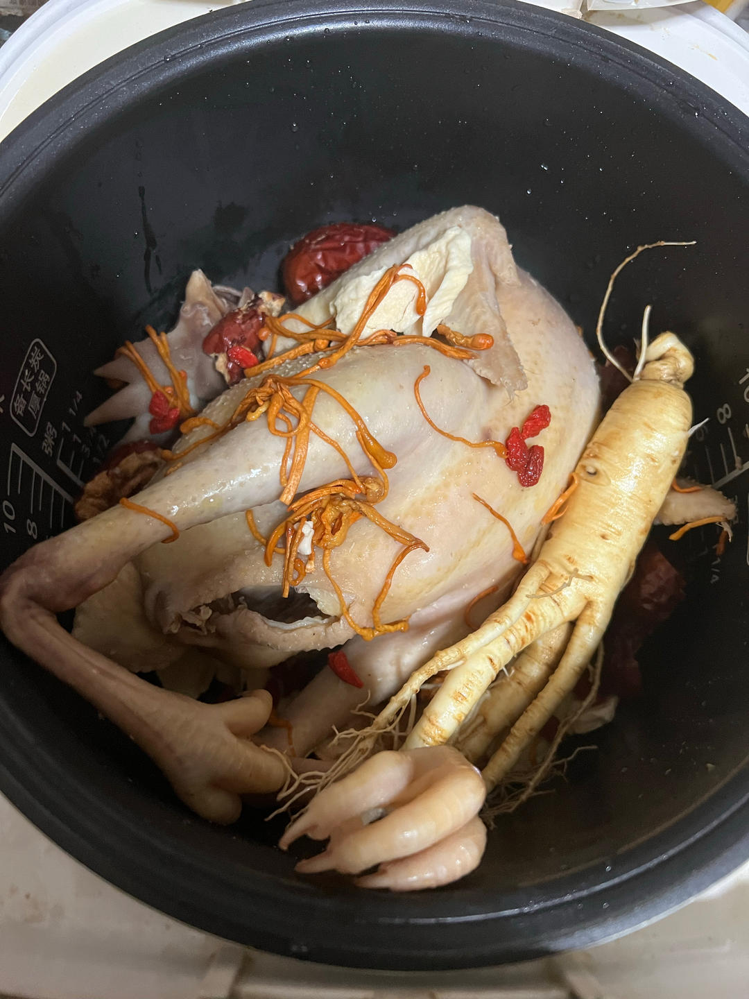 鲜人参炖鸡汤
