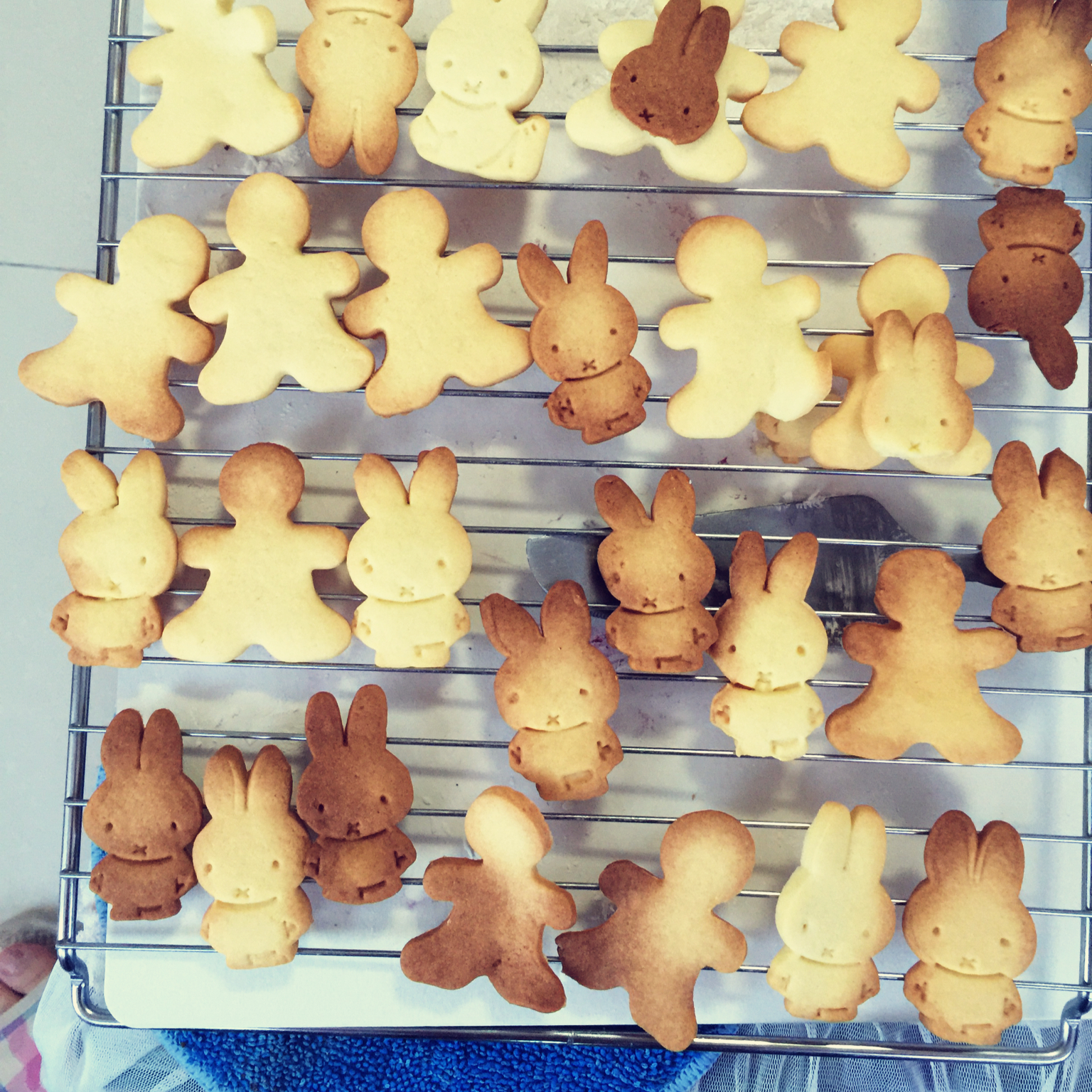 糖霜饼干系列1:省时省力又平整的糖霜饼干底