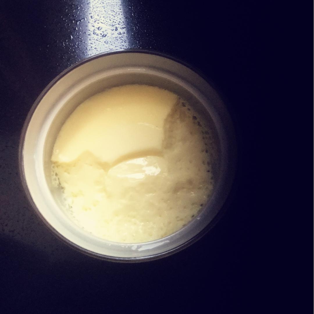 简单易学牛奶鸡蛋布丁