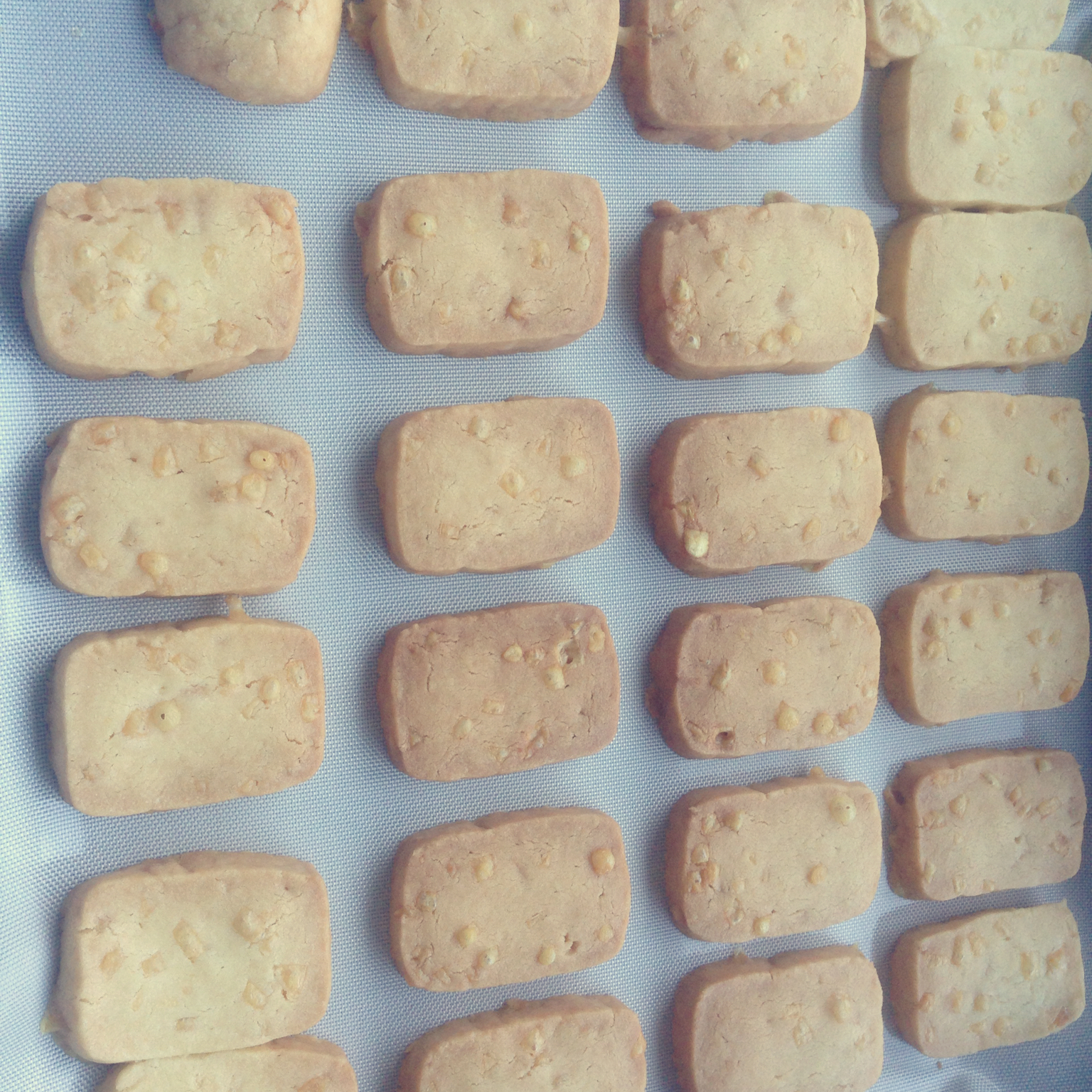 蔓越梅饼干和乳酪饼干