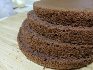 六寸黑森林裸蛋糕（巧克力海绵蛋糕搭巧克力香缇奶油）的做法 步骤14
