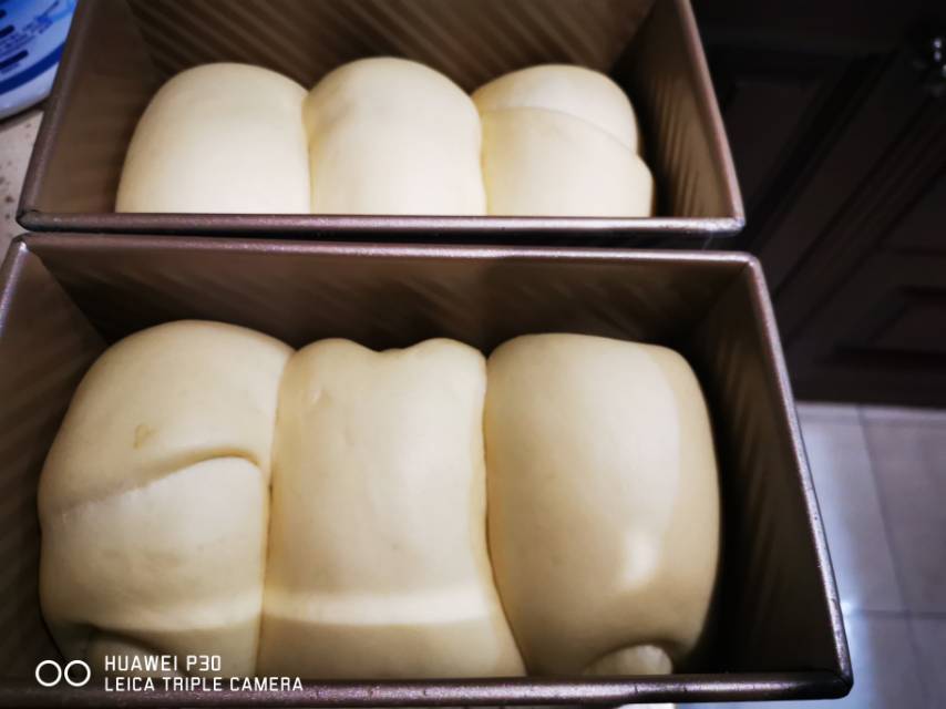 每周必做的北海道吐司520g，柔软拉丝，一次发酵（中种法）