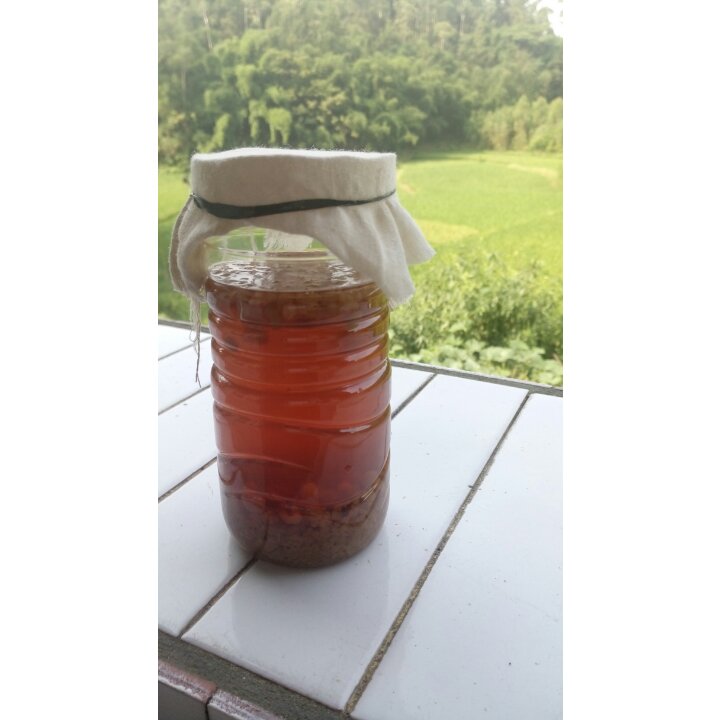 水开菲尔汽水丨喂养篇