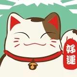 huihui-cat