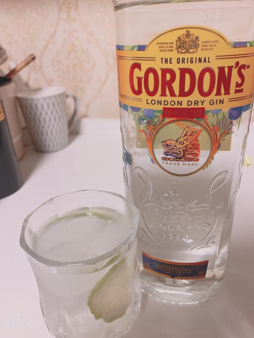 gin tonic 金汤力