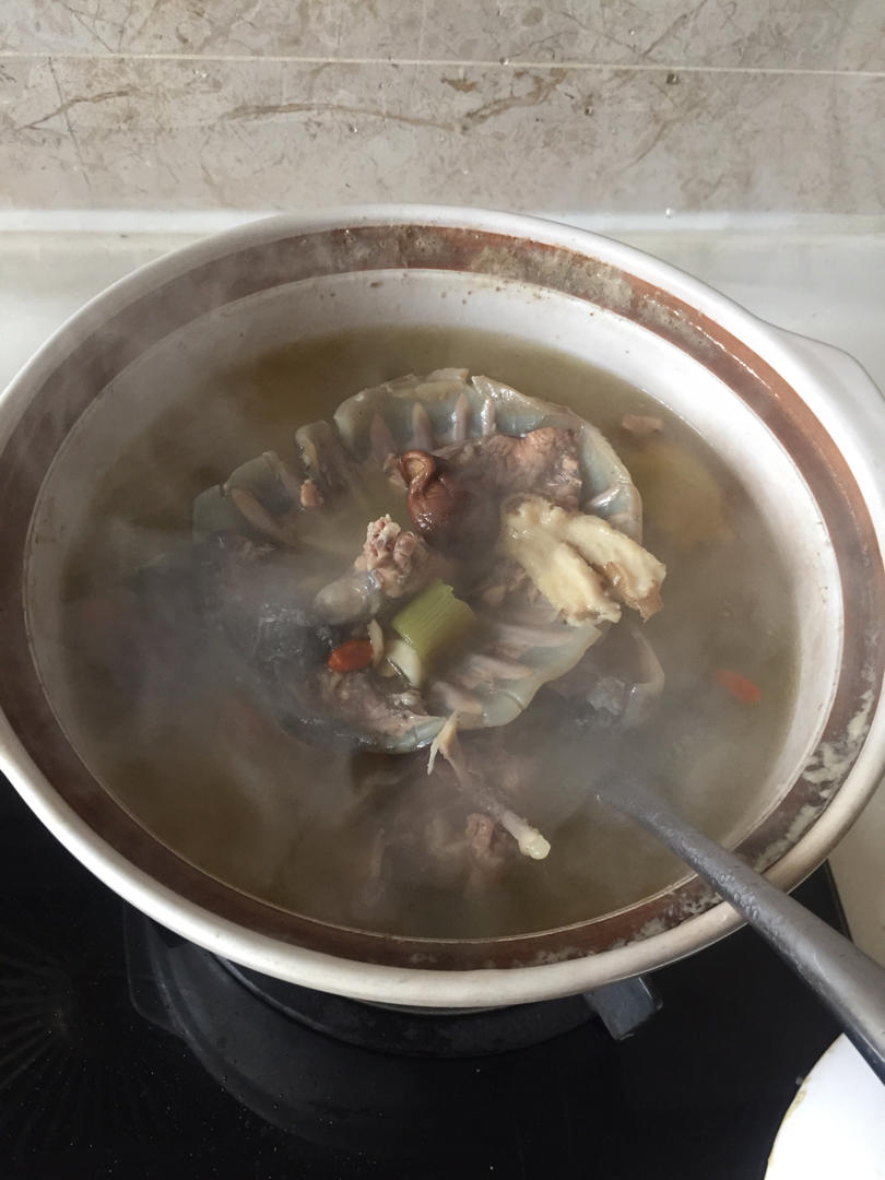 甲鱼汤