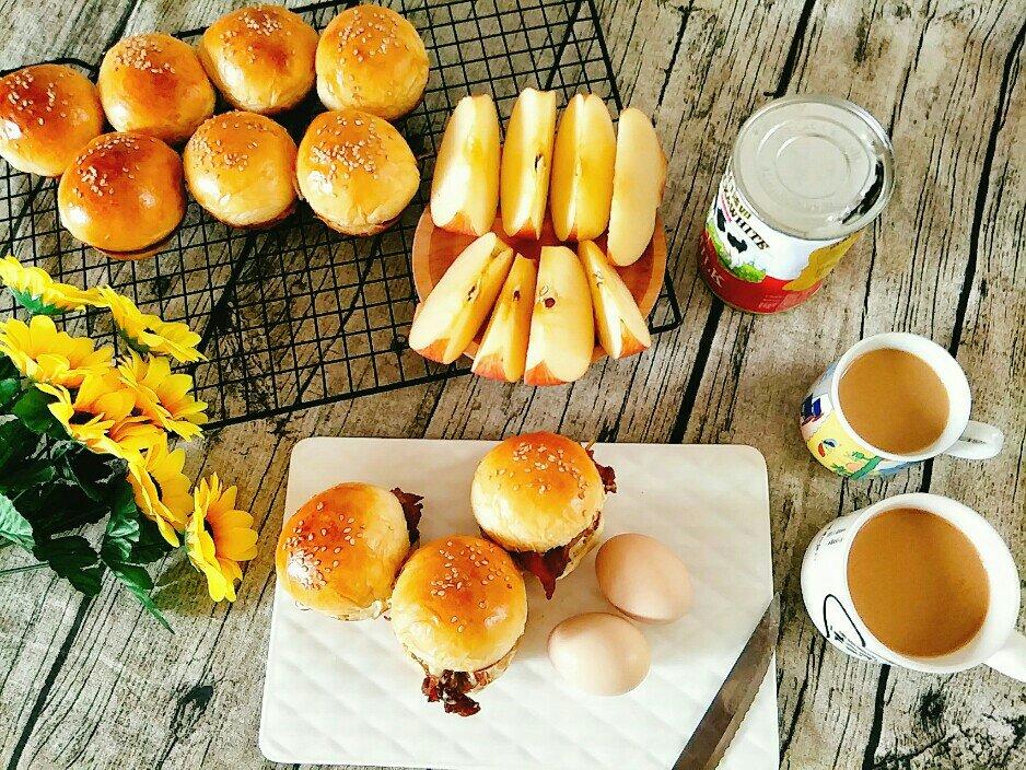 汉堡胚 poolish（波兰种）