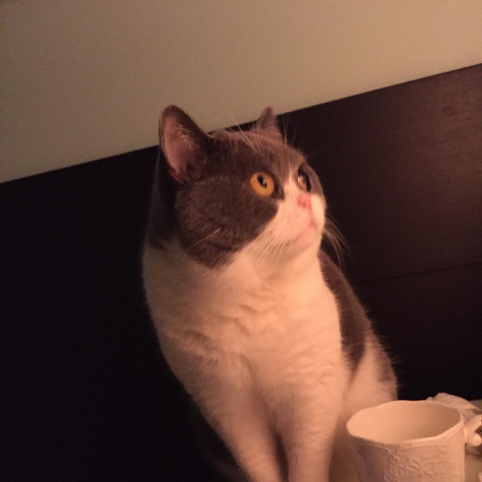 Peter的麻麻
