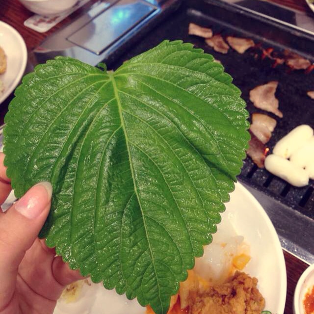 外食记--星冰乐韩国行