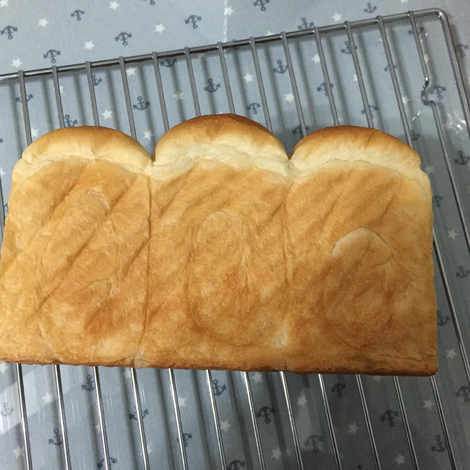酸奶蔓越梅吐司～冷藏发酵