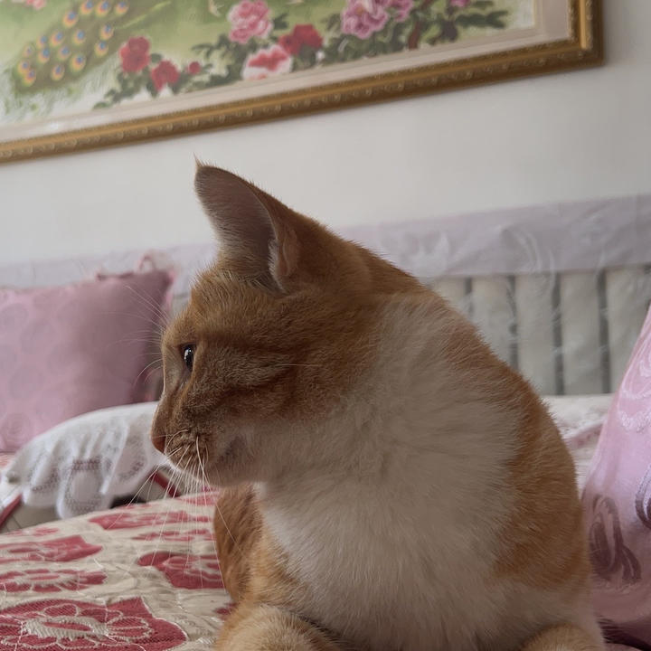 嘿嘿嘿嘿嘿嘿嘿呀