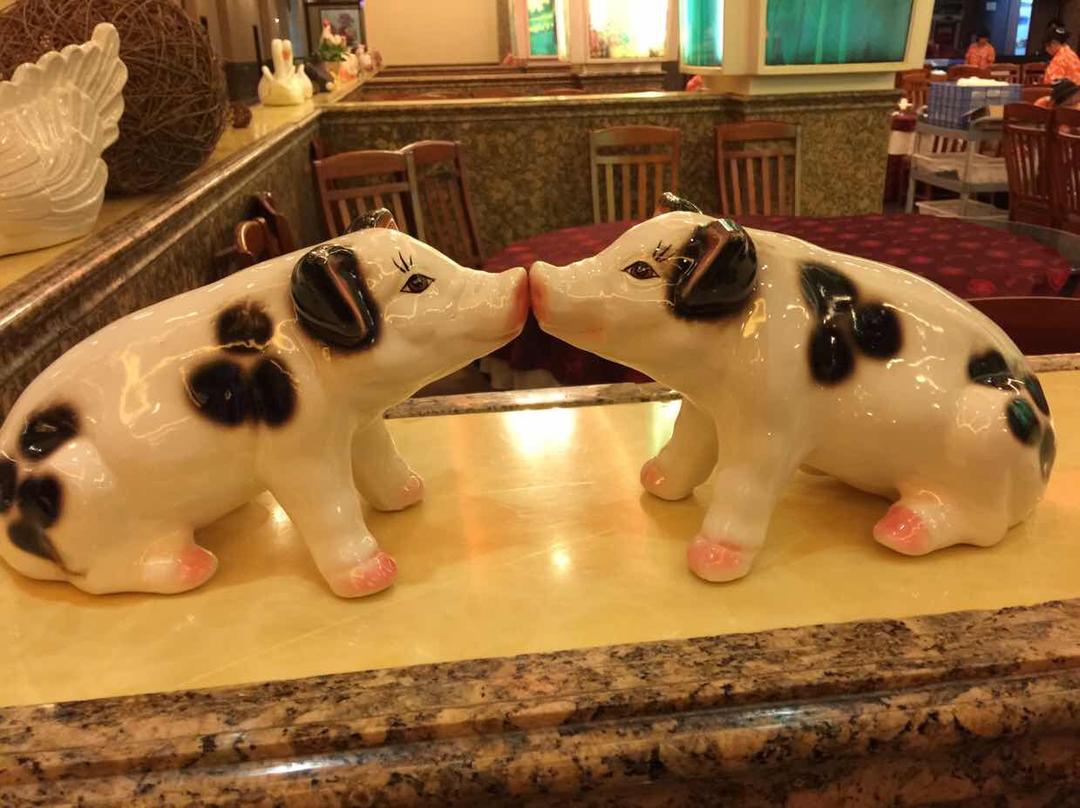 轩轩猪妈