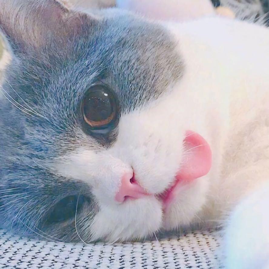 木子李LH