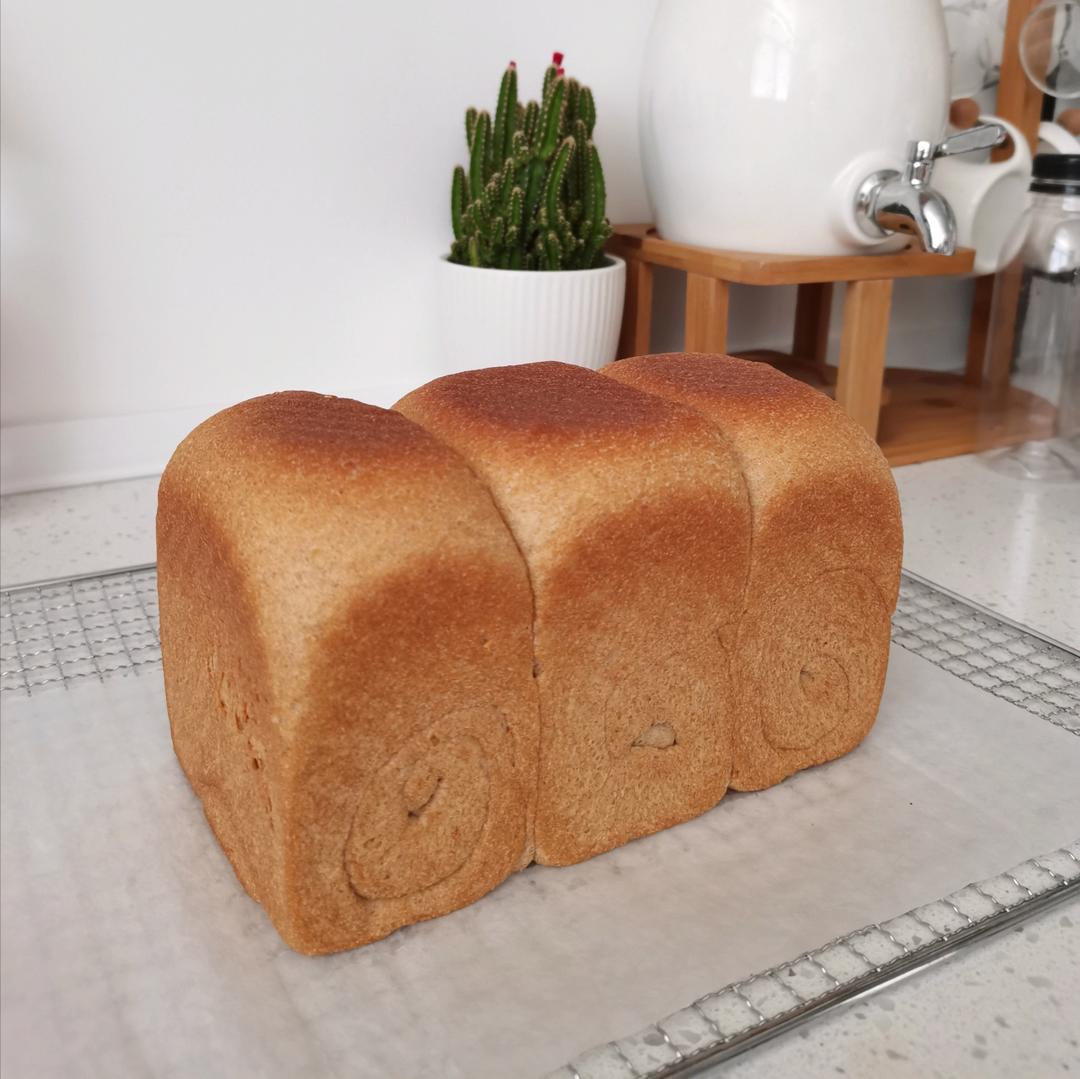 柔软拉丝的100%全麦麦片吐司（一次发酵）