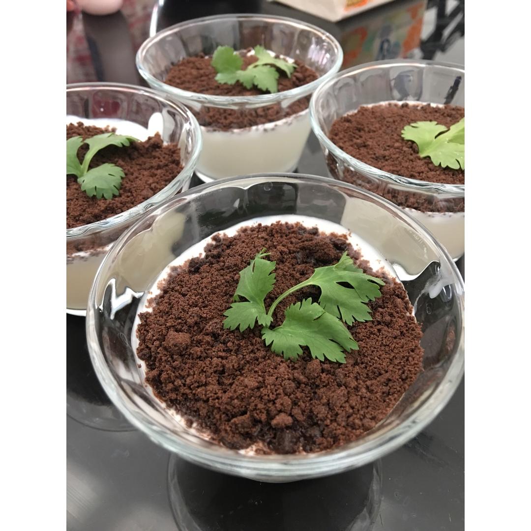 『盆栽酸奶』夏日里的小清新。