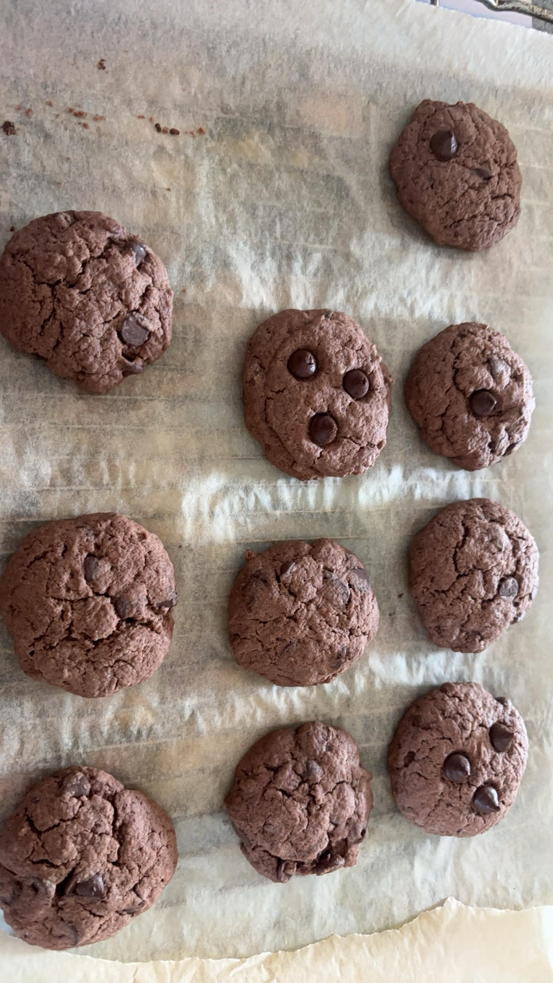 🍪巧克力曲奇｜免打发❗️零失败一次成功❗️