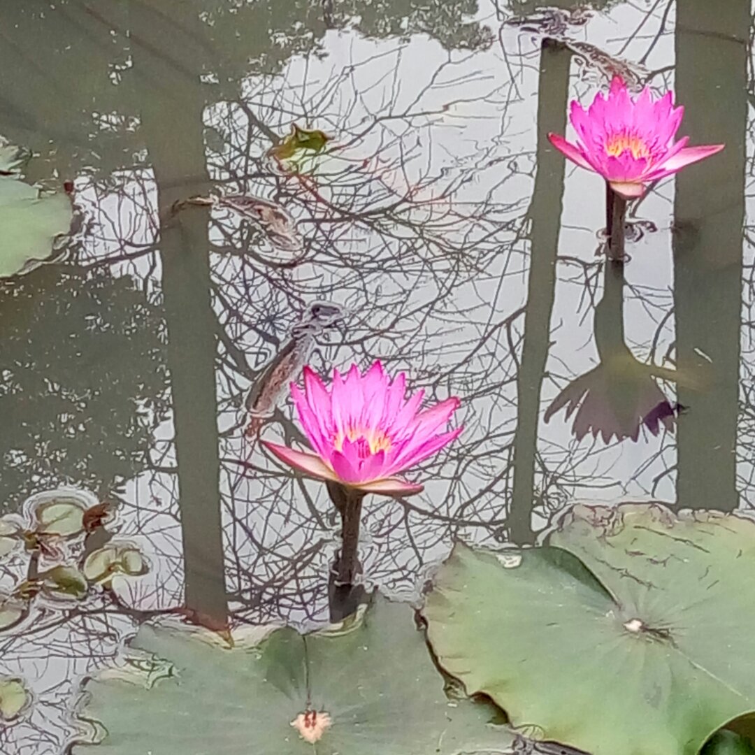 手机用户8724_i4ml