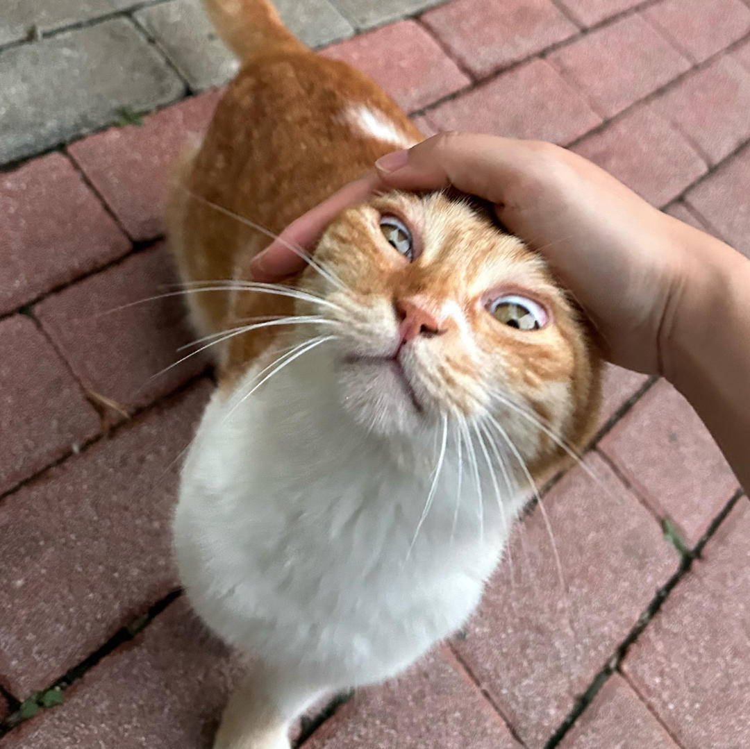 生火