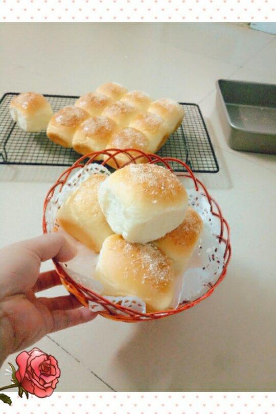 椰蓉奶香小餐包