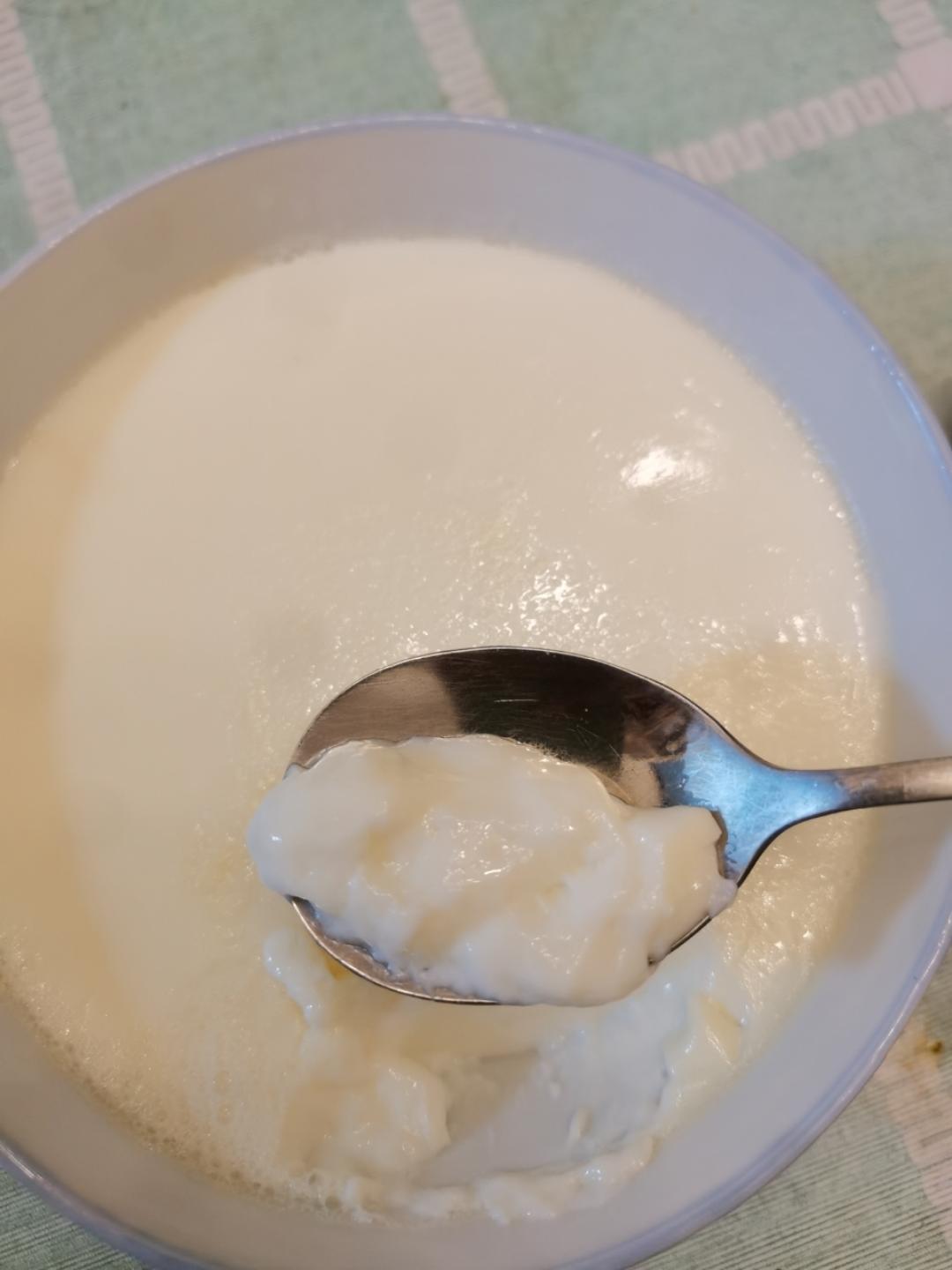 顺德双皮奶