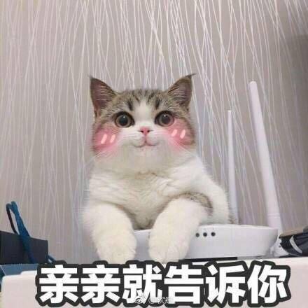 吃肉啦巴啦啦