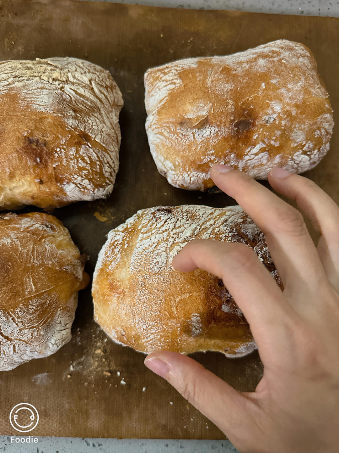 意大利恰巴塔初体验｜无糖少油面包｜波兰种｜大水量