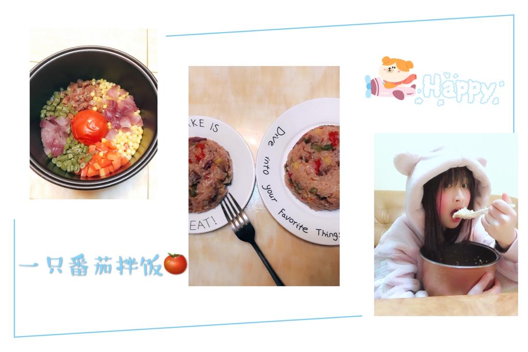 【电饭锅】一只番茄饭 番茄拌饭