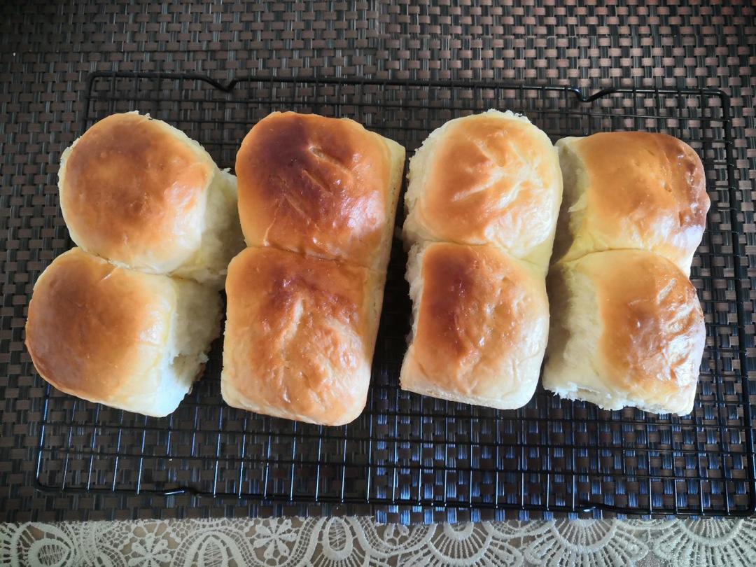 老面包（爱和自由）