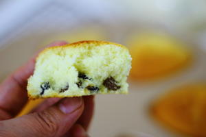 黑加仑海绵蛋糕的做法 步骤11