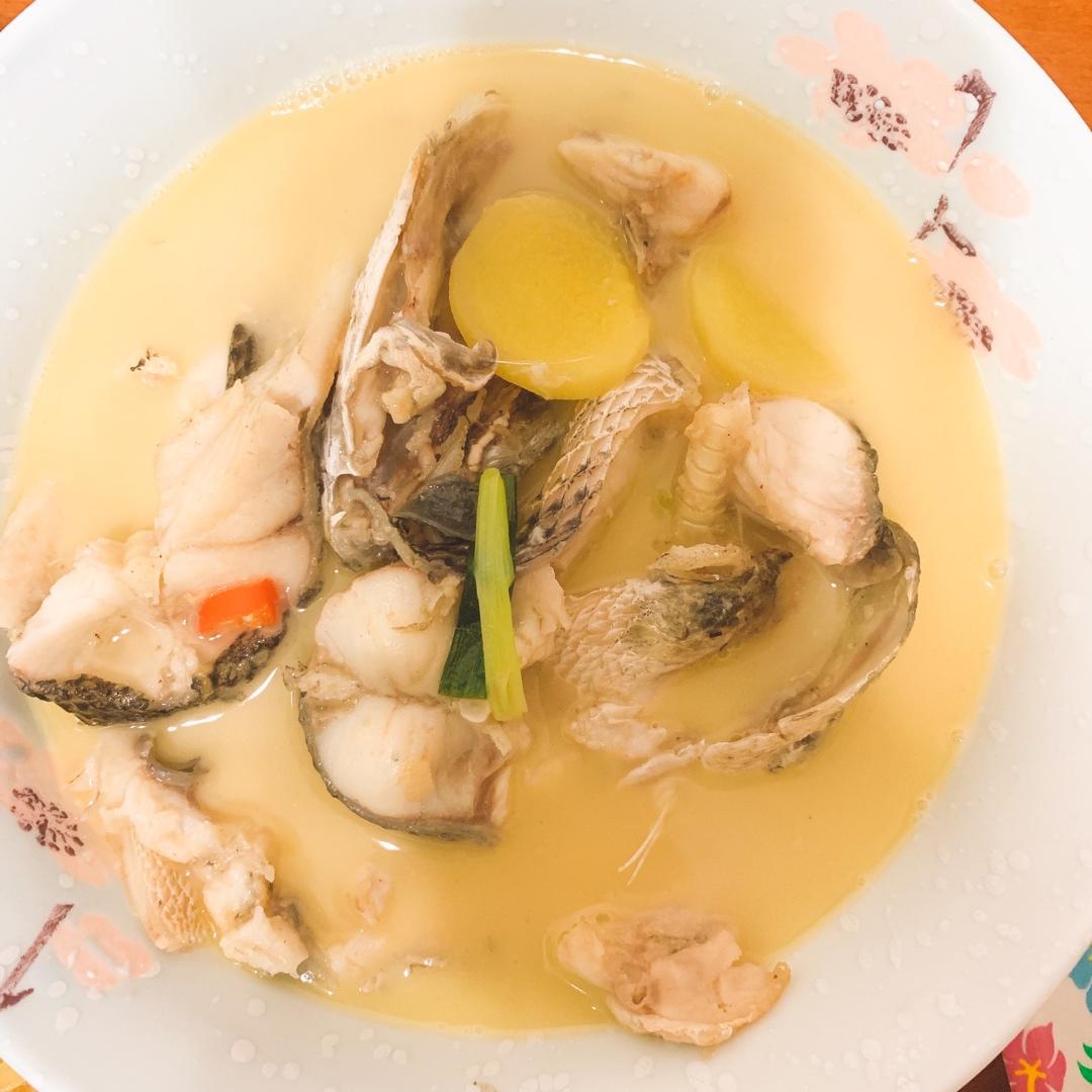 黑鱼汤
