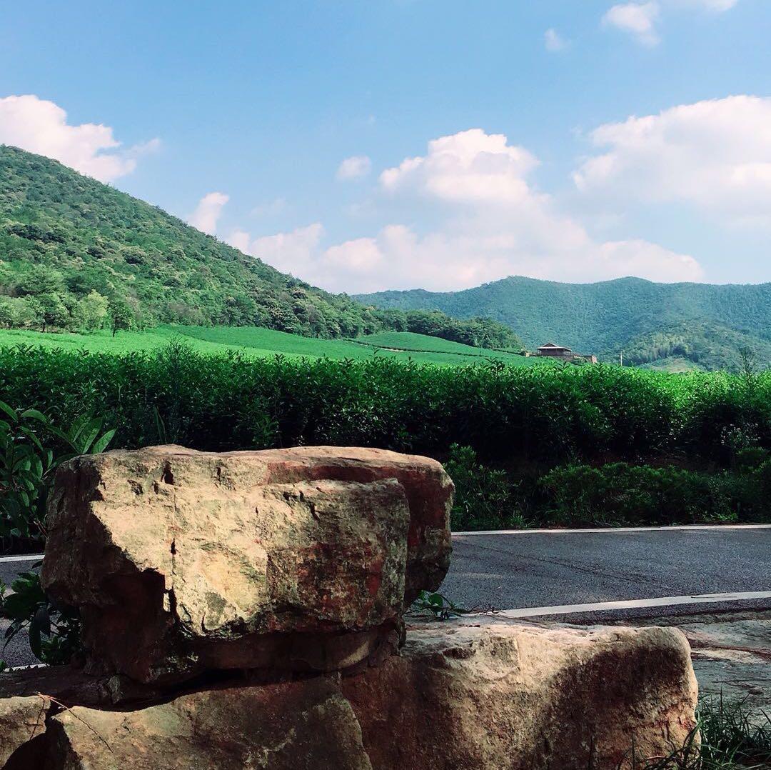 恽三岁