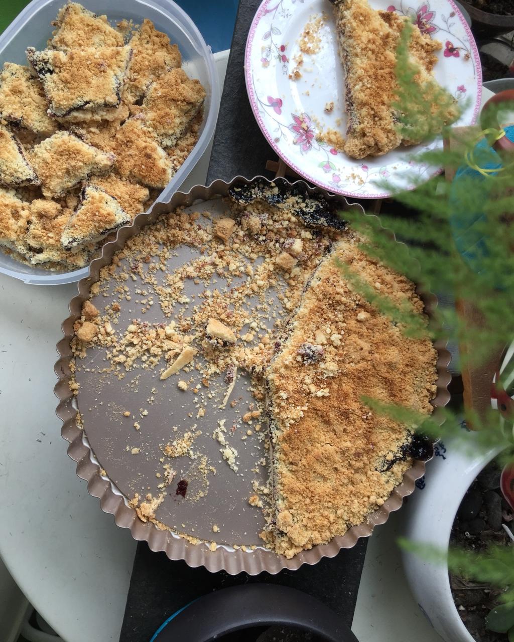 蓝莓酥粒小方块Blueberry Crumber Bars