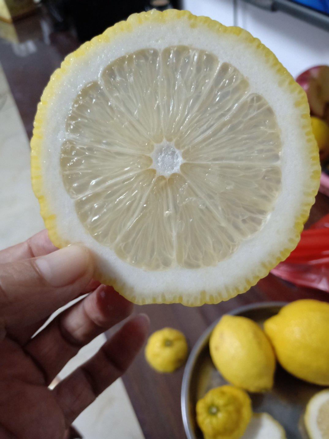 冰糖柠檬膏（电压力锅版）