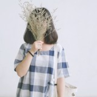 蚊子Many