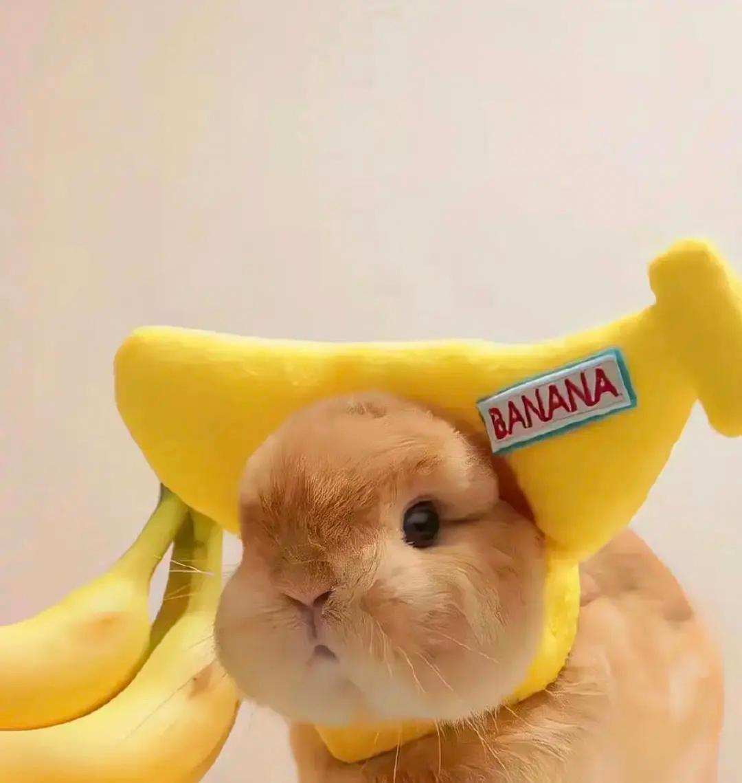 吃吃吃吃出小蛮腰