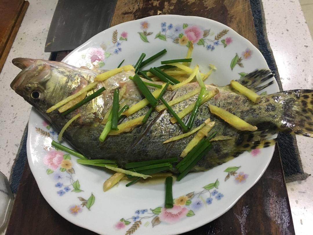 清蒸鲈鱼