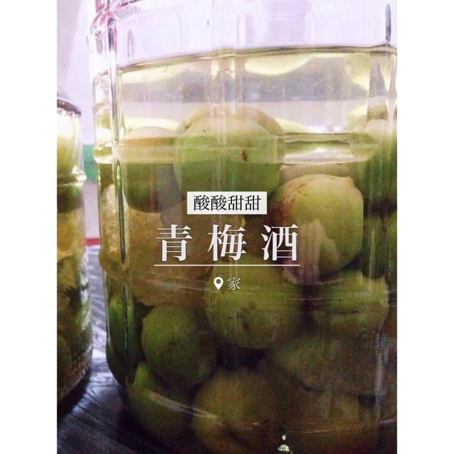 【青梅酒】梅子的沉醉时光（已填坑）