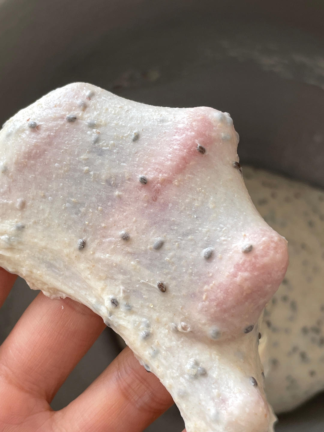 奇亚籽全麦吐司（乔立7600打面视频）