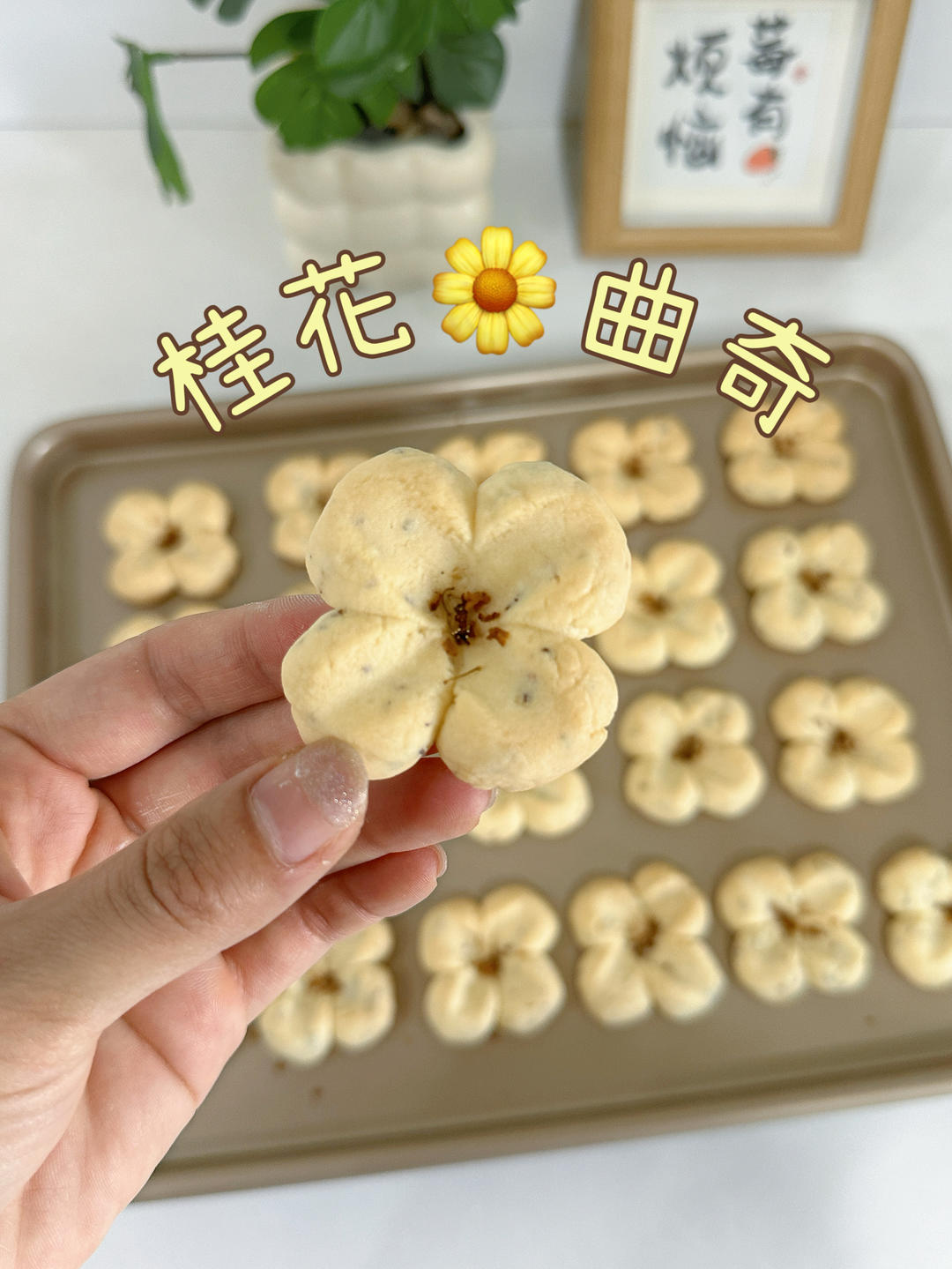 秋日限定🍂这款桂花曲奇好吃到我想私藏❗️