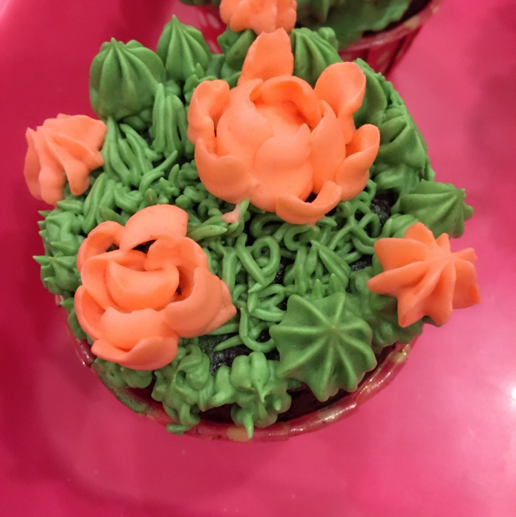 多肉植物杯子蛋糕 裱花教程