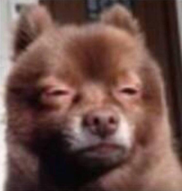 懒人食谱之双皮奶